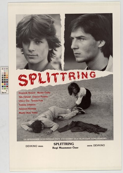 Splittring (1984)