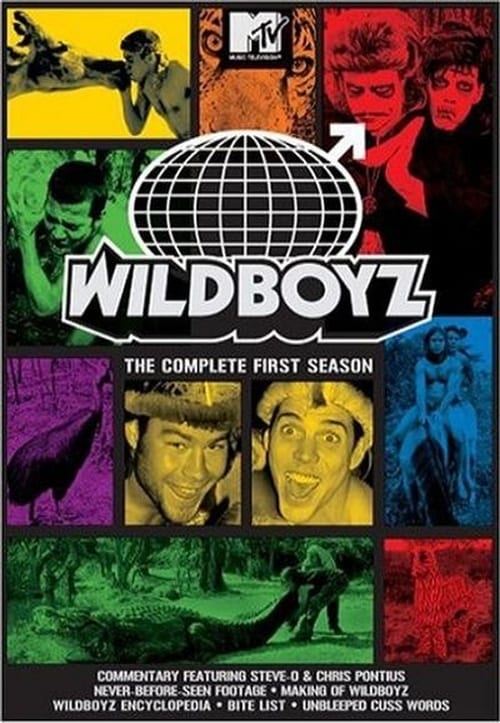 Where to stream Wildboyz Season 1