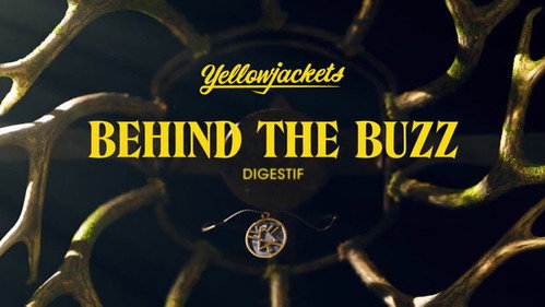 Behind the Buzz: 203 Digestif