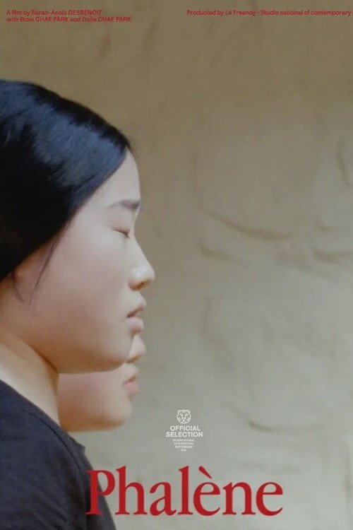 Phalène