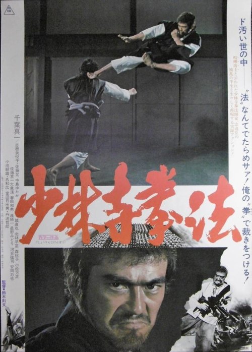 Affiche du film 少林寺拳法