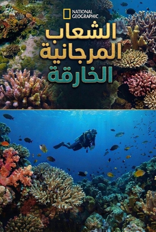 Super Reefs