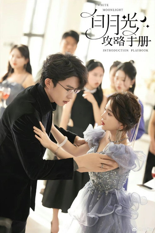 Affiche de 白月光攻略手册