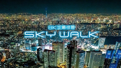 8K空撮夜景 SKY WALK (スカイウォーク)TOKYO/YOKOHAMA Backdrop Blur