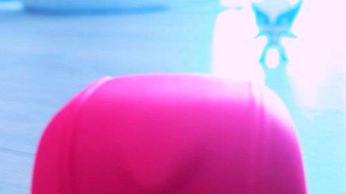 The Mysterious Disappearance Of A Duck