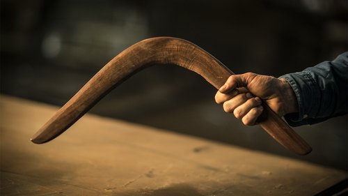 Épisode 7