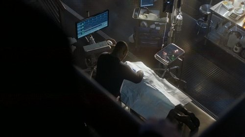 Escena del episodio 10 de la temporada 3 de la serie Zoo