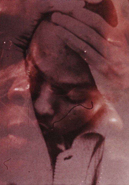 Remembrance: A Portrait Study