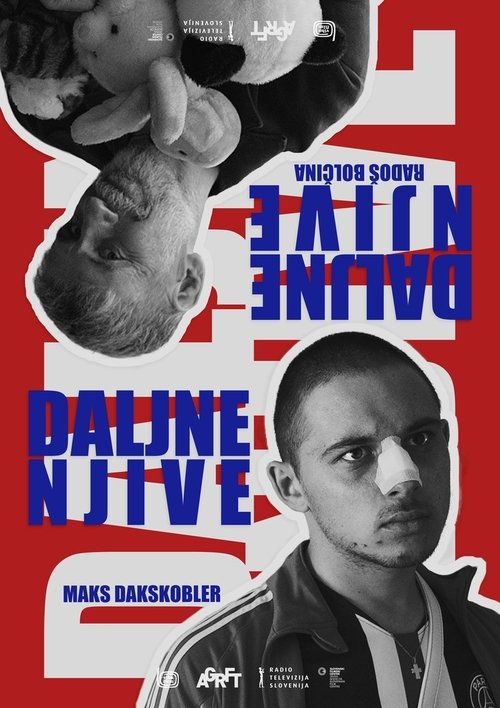 Daljne njive (2022) poster