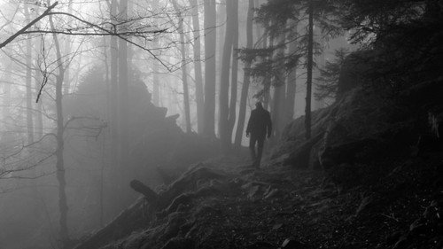 Patho Film, Wolfelsgrund