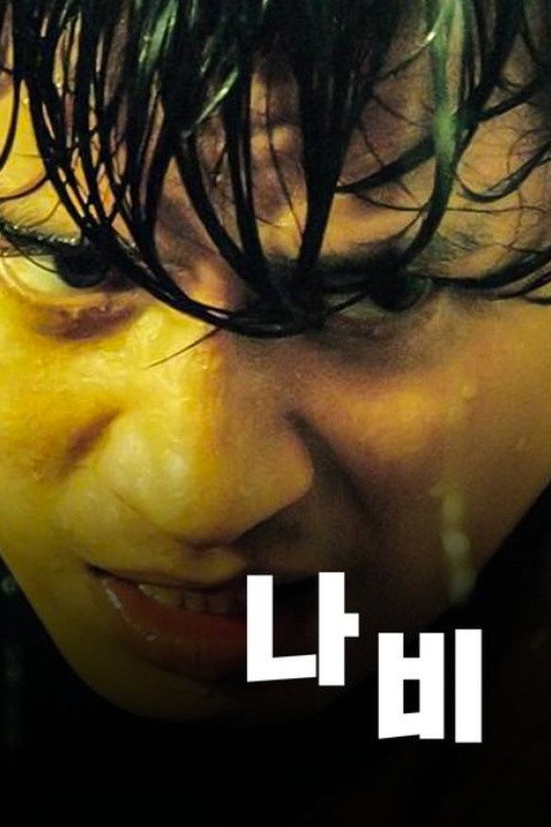 Mr Butterfly poster