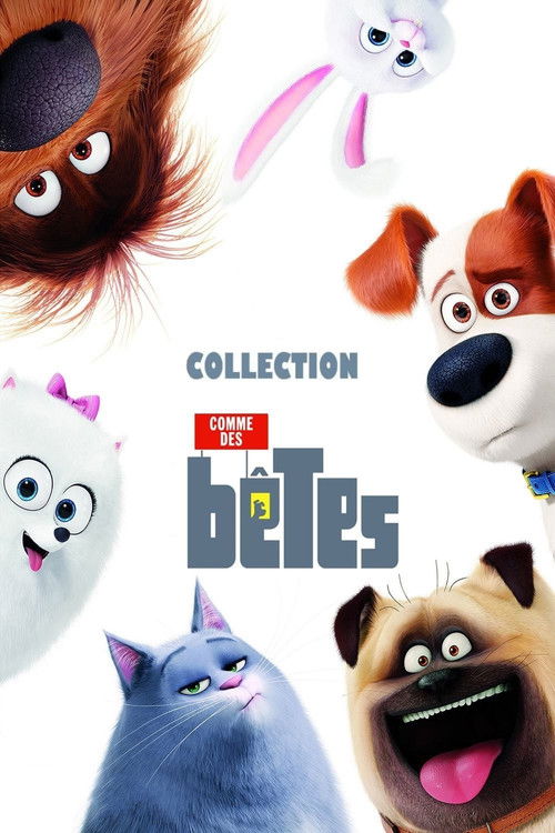 Comme des bêtes - Saga