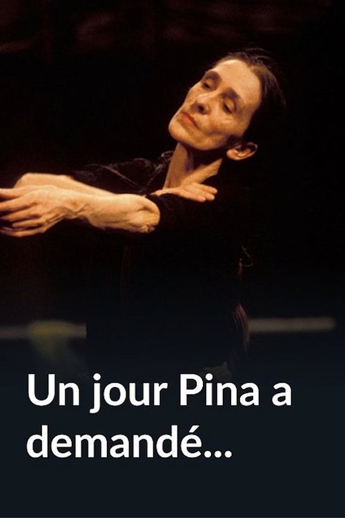 Affiche du film Un jour Pina a demandé...