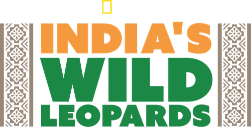 India's Wild Leopards