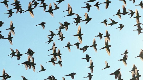 Ray Martin: Mysteries Of The Outback