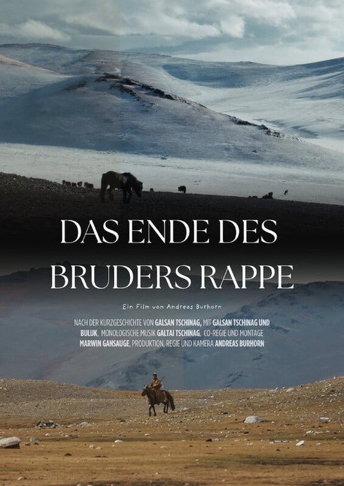 Das Ende des Bruders Rappe