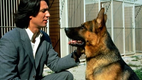 Poster della serie Inspector Rex