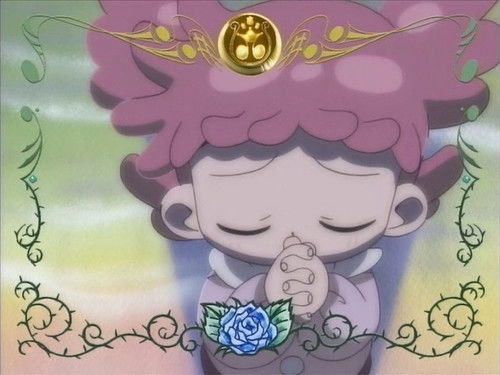 Never Sleep! Poppu's Apprentice Exam