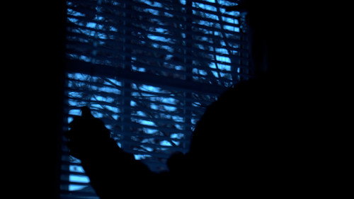 Rat Race: A Short Documentary