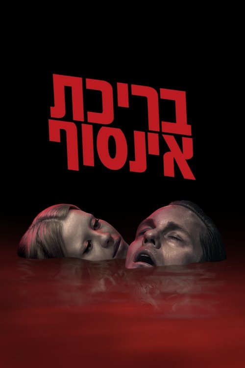 בריכת אינסוף