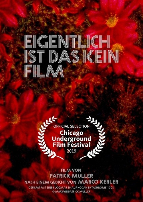 Eigentlich ist das kein Film 2019