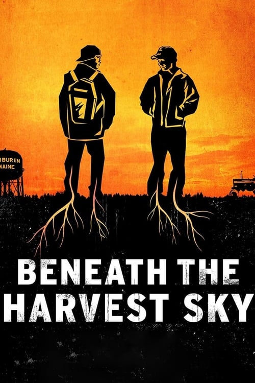 Grootschalige poster van Beneath the Harvest Sky