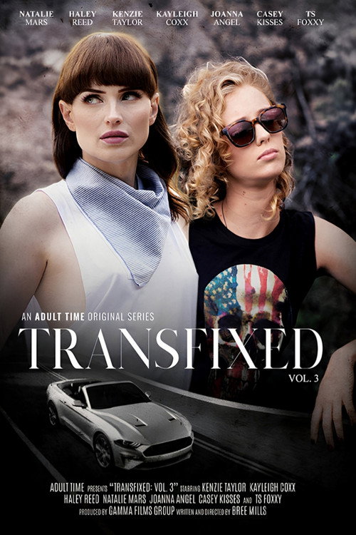 Transfixed 3 poster