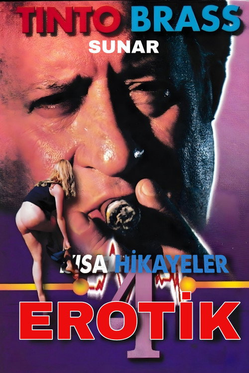 Erotik Kısa Öyküler Cilt 4 posteri