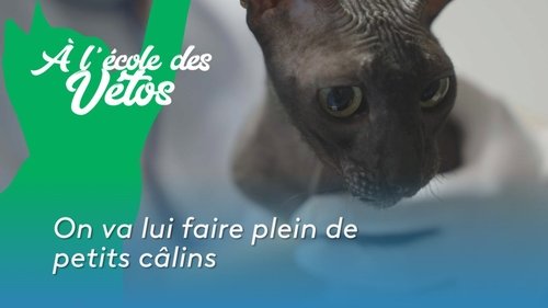 On va lui faire plein de petits câlins