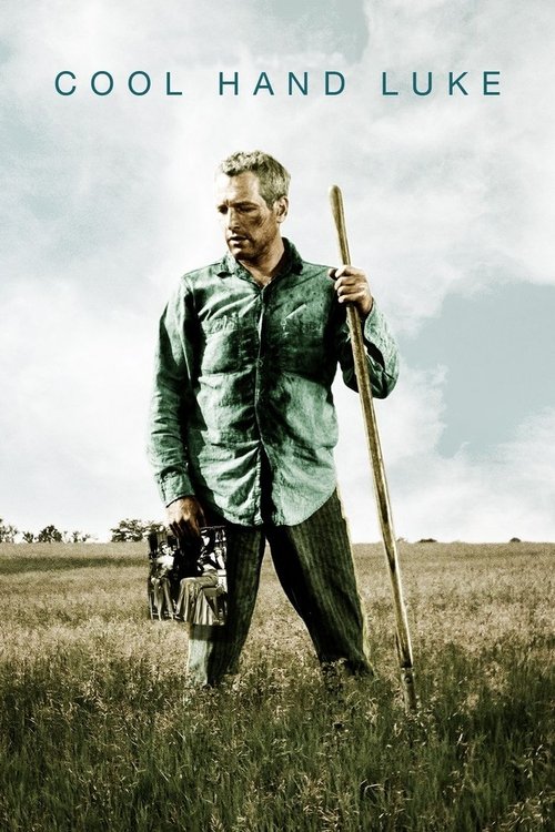 Grootschalige poster van Cool Hand Luke