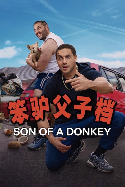  Son of a Donkey - Saison 1 affiche 