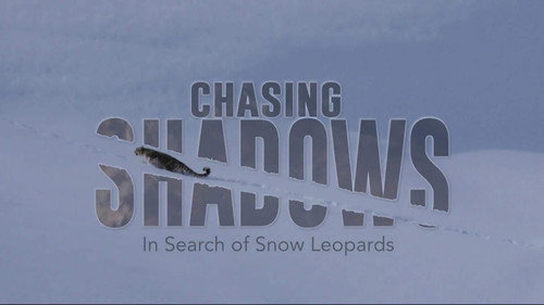 Chasing Shadows - Season 1 Backdrop Blur