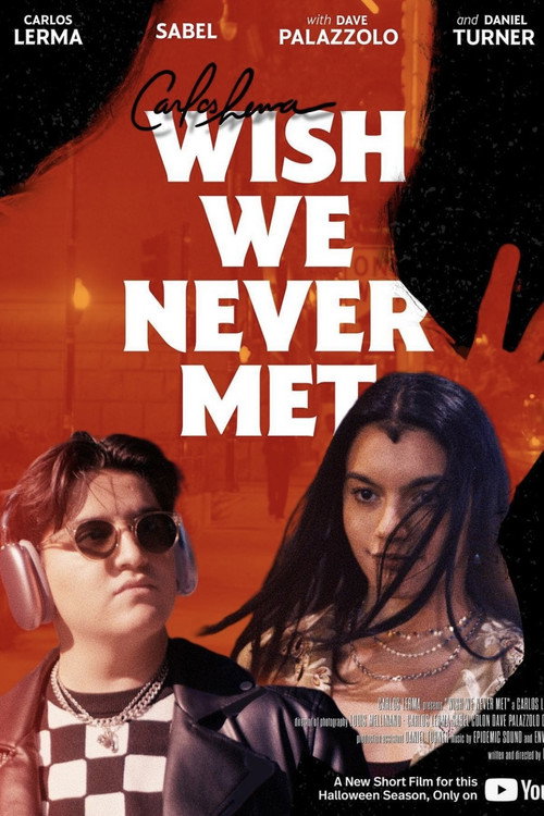 Póster oficial de Wish We Never Met (2022) - Drama