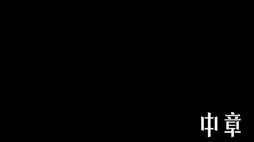 Middle Chapter