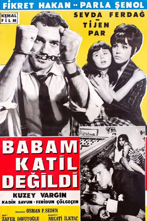 Babam Katil Değildi poster