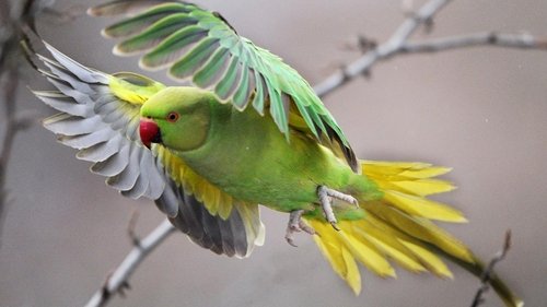 Image de l'épisode 29