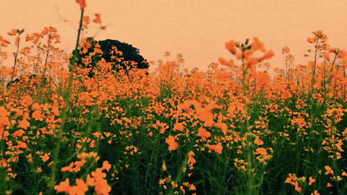 Slow Dancing on the Red Floor