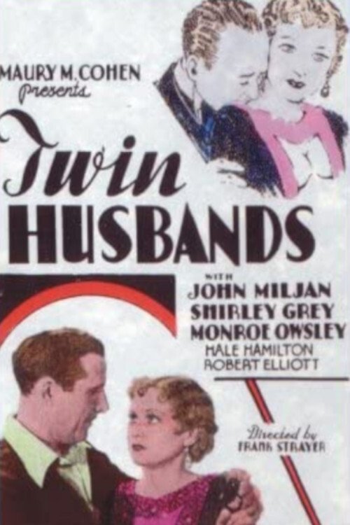 Twin Husbands poster