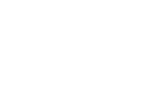 Junior Bonner