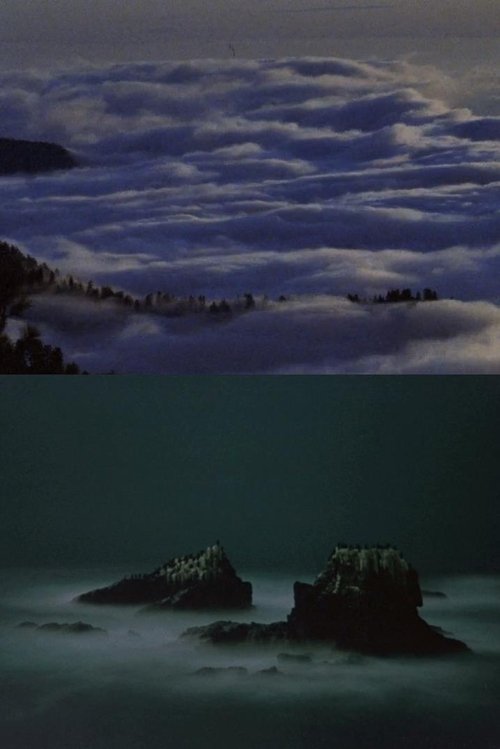 Light Escapes Through the Intervals movie poster player