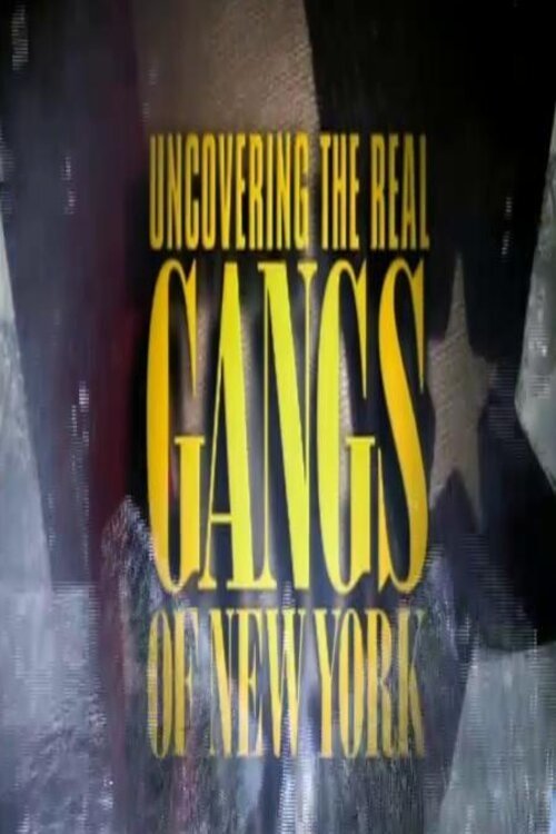 Where to stream Uncovering the Real Gangs of New York (2003) online? Comparing 50+ Streaming