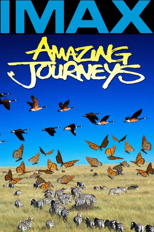 Amazing Journeys (1999) poster