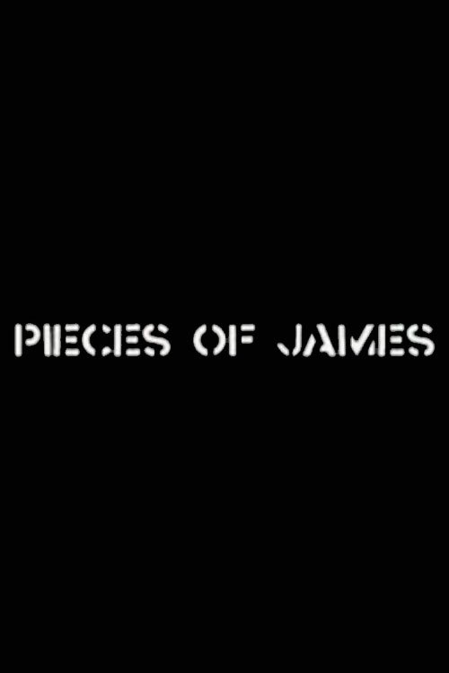 Pieces of James: An Enquiry Into the Art and Life of James Manning (2000) poster