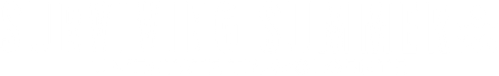 Surviving Summer - Un'estate travolgente official logo