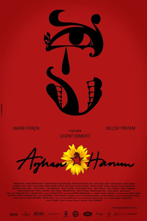 Ayhan Hanım (2014)