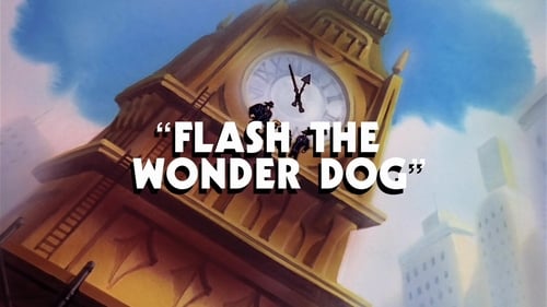 Flash, O Cão Maravilha