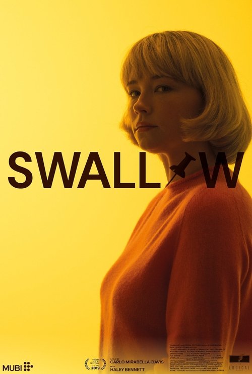 Swallow poster