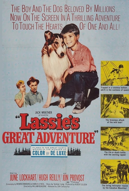 Lassie's Great Adventure Movie Poster Image
