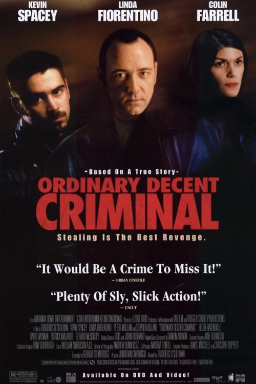 Ordinary Decent Criminal poster