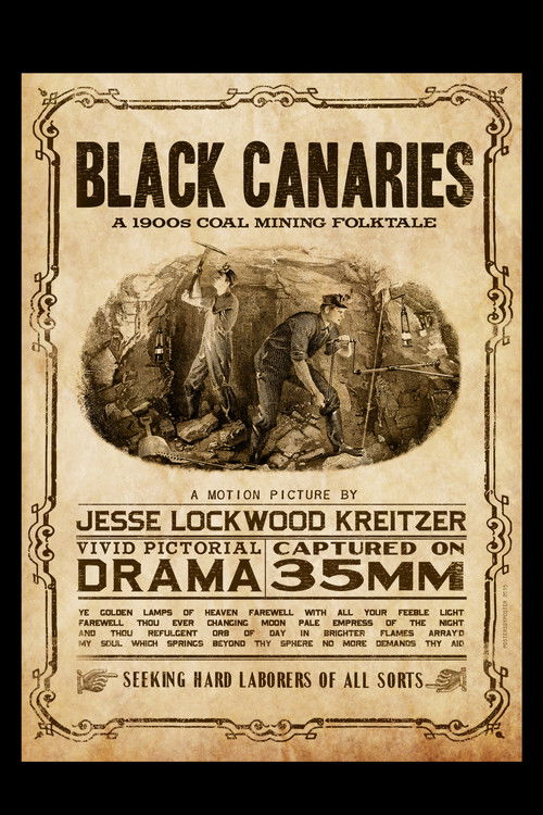 Black Canaries poster
